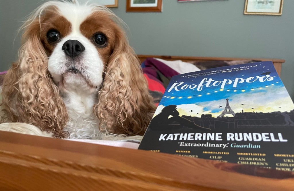 Book Review: Rooftoppers
