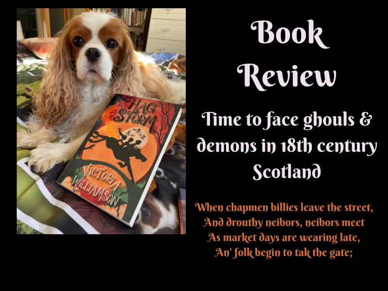 Book Review: Hag Storm by Victoria Williamson